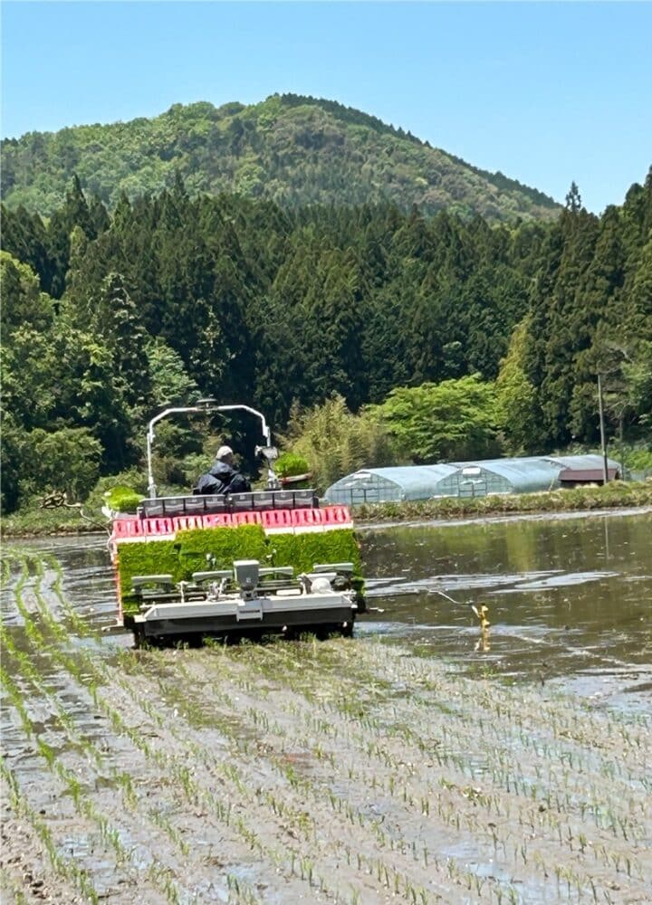 8169add18e93b0f7c94cd8e7fbe321c5